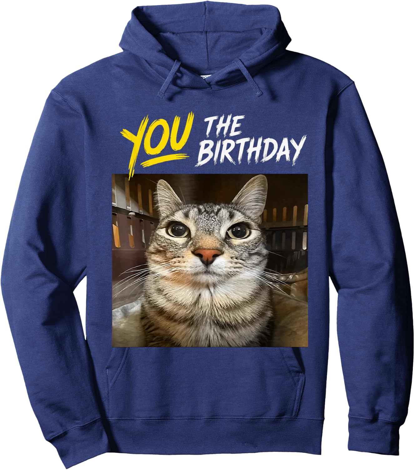 You The Birthday Funny Gen Z Slang Meme Cat Hoodie - Hoodie | Navy