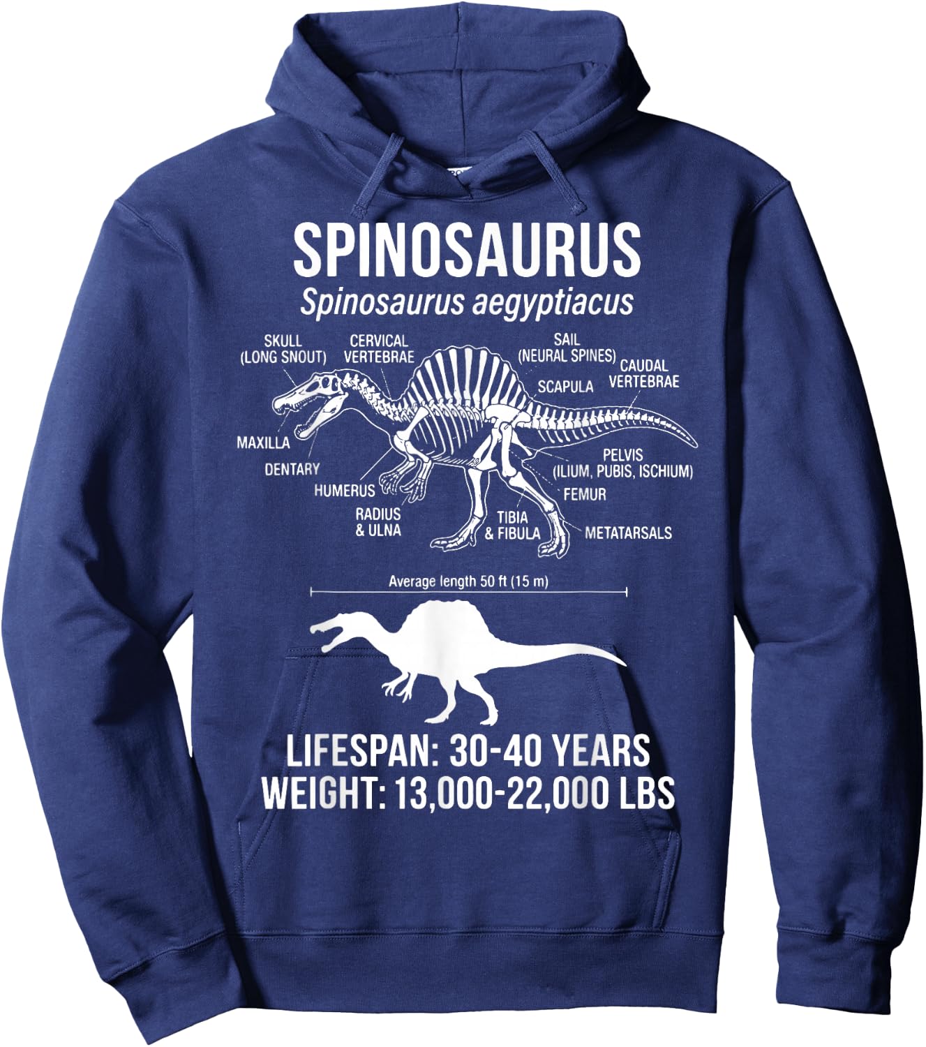Spinosaurus Diagram Hoodie - Hoodie | Navy