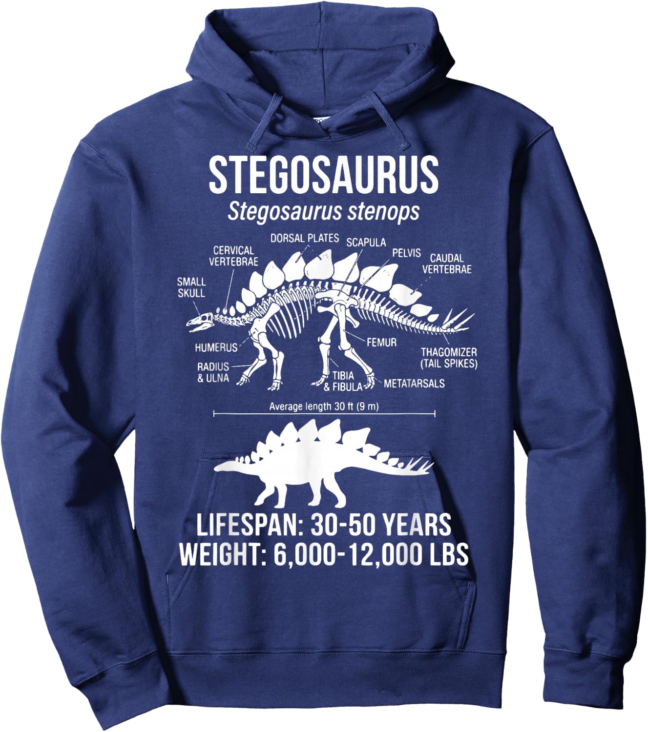 Stegosaurus Diagram Hoodie - Hoodie | Navy