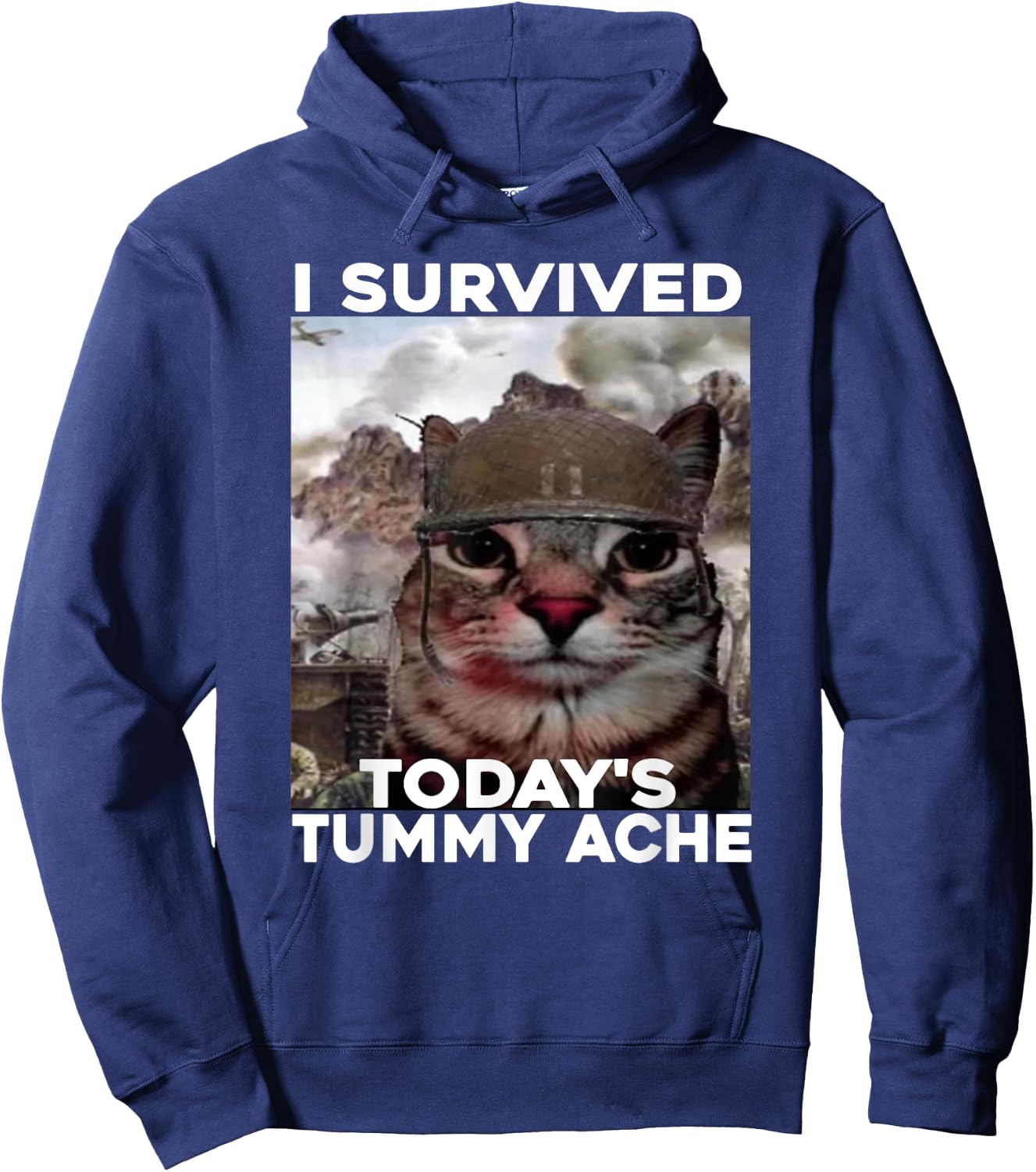 I Survived Today's Tummy Ache cat Hoodie - Hoodie | Navy