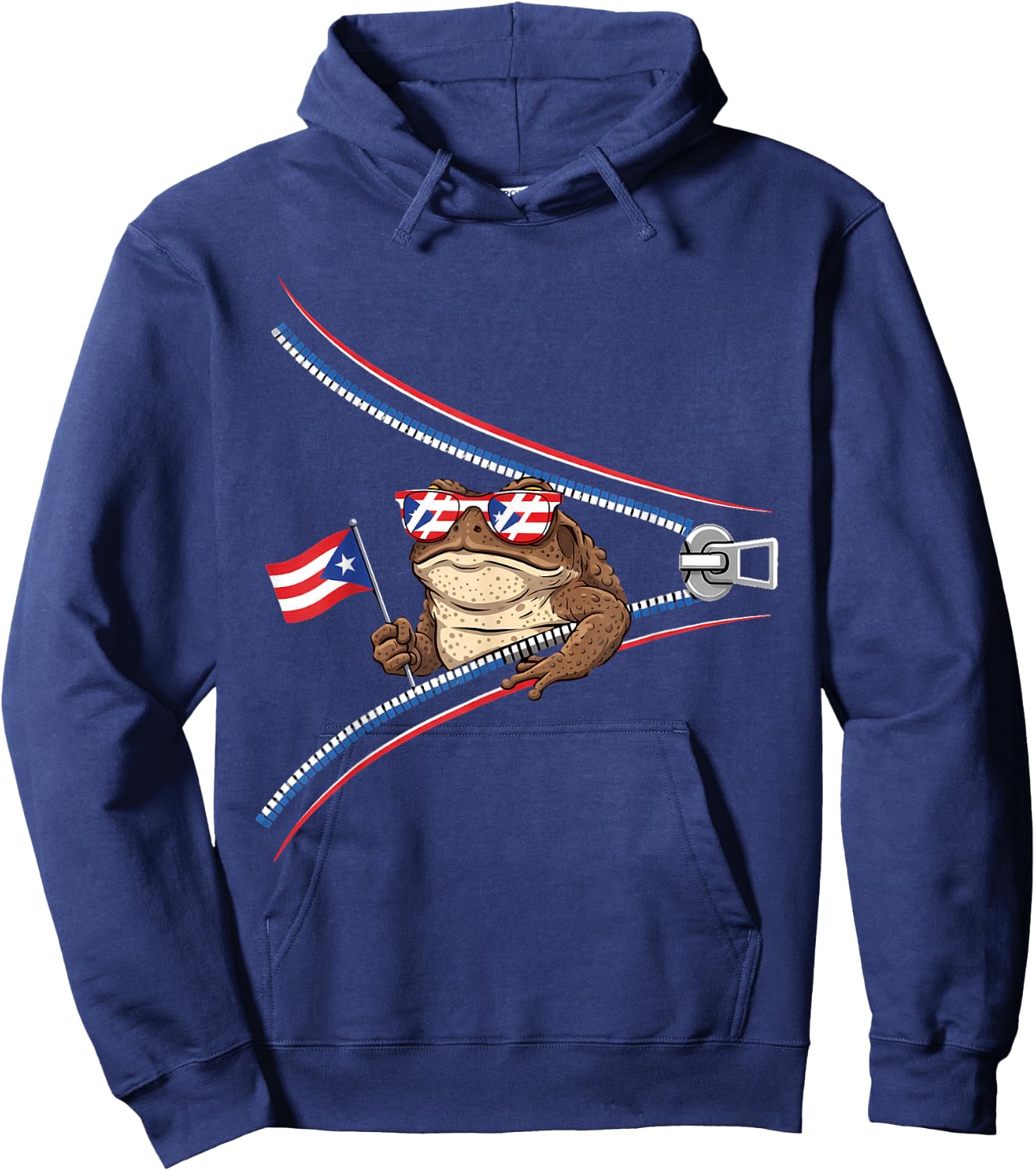 Coqui Frog Puerto Rico Flag Puerto Rican Taino Boricua Hoodie - Hoodie | Navy