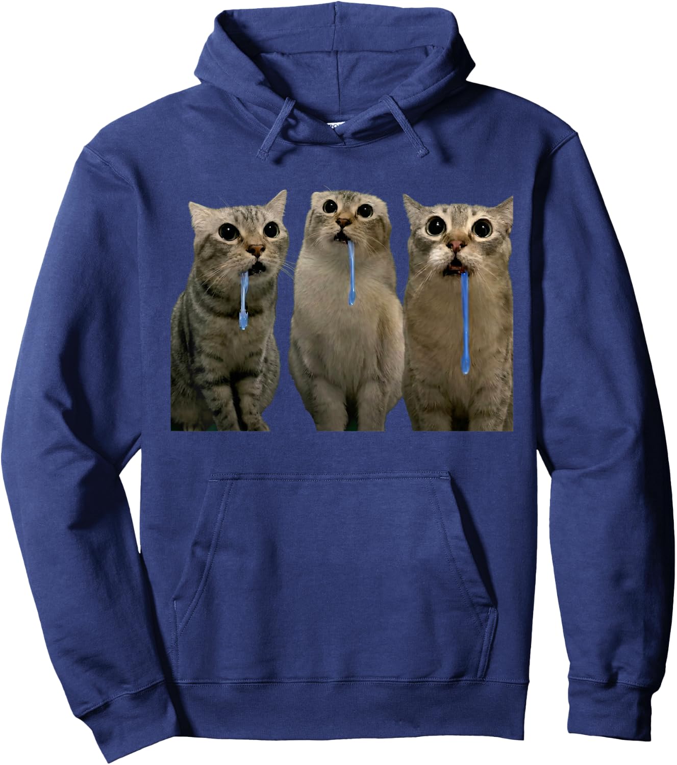 Cats Yelling at a Drooling Cat Double Funny Meme Hoodie - Hoodie | Navy