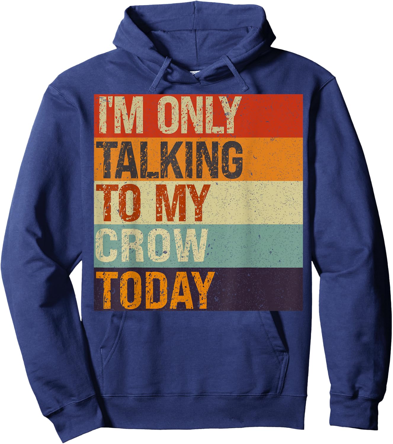 Funny Crow Bird I'm Only Talking To My Crow Bird Today Hoodie - Hoodie | Navy