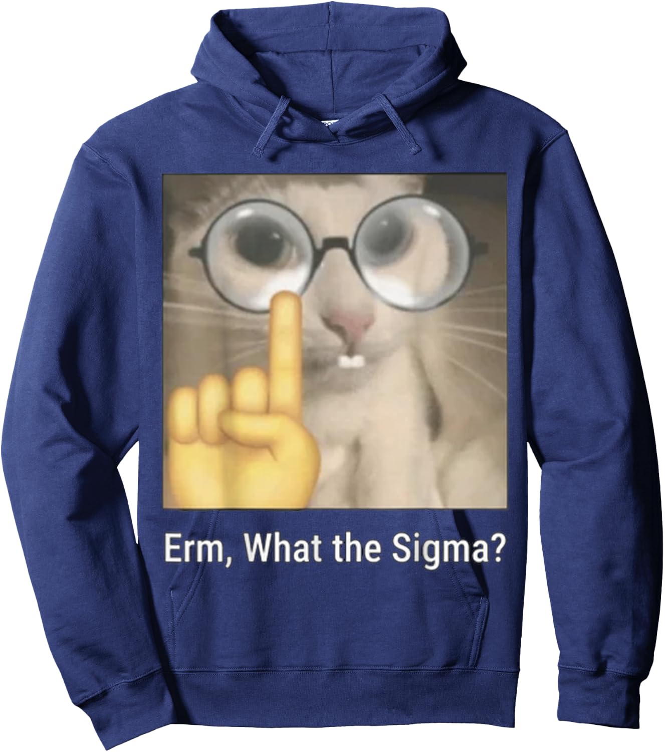 Cat Funny Erm, What The Sigma? Cat Meme Funny Hoodie - Hoodie | Navy