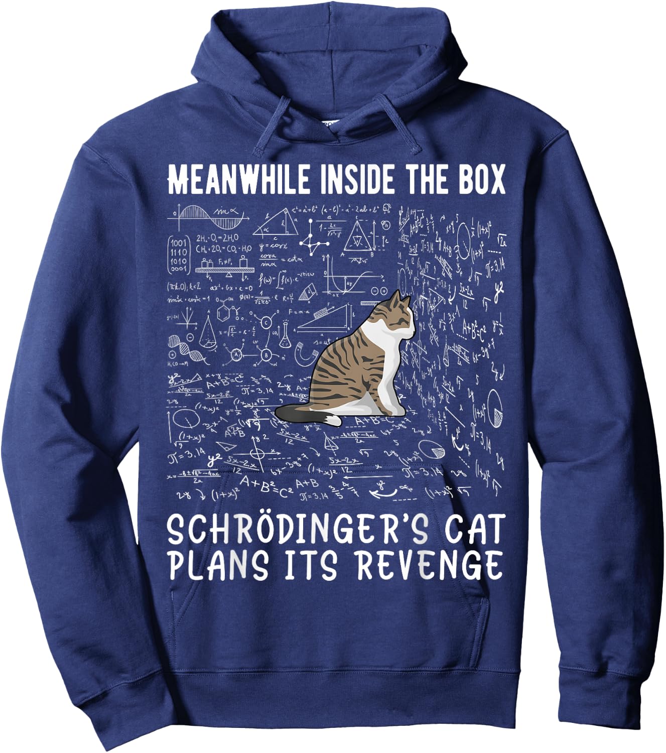 Meanwhile Inside The Box Cat De Schrödinger Vengeance Hoodie - Hoodie | Navy