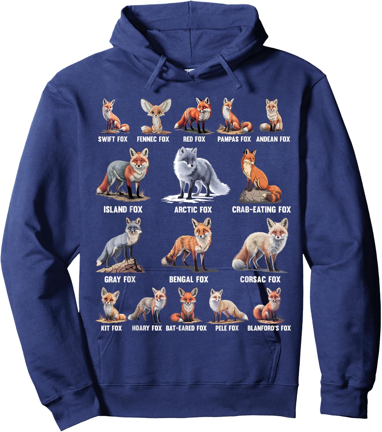 Foxes Of The World Funny Fox Animals Educational Hoodie - Hoodie | Navy