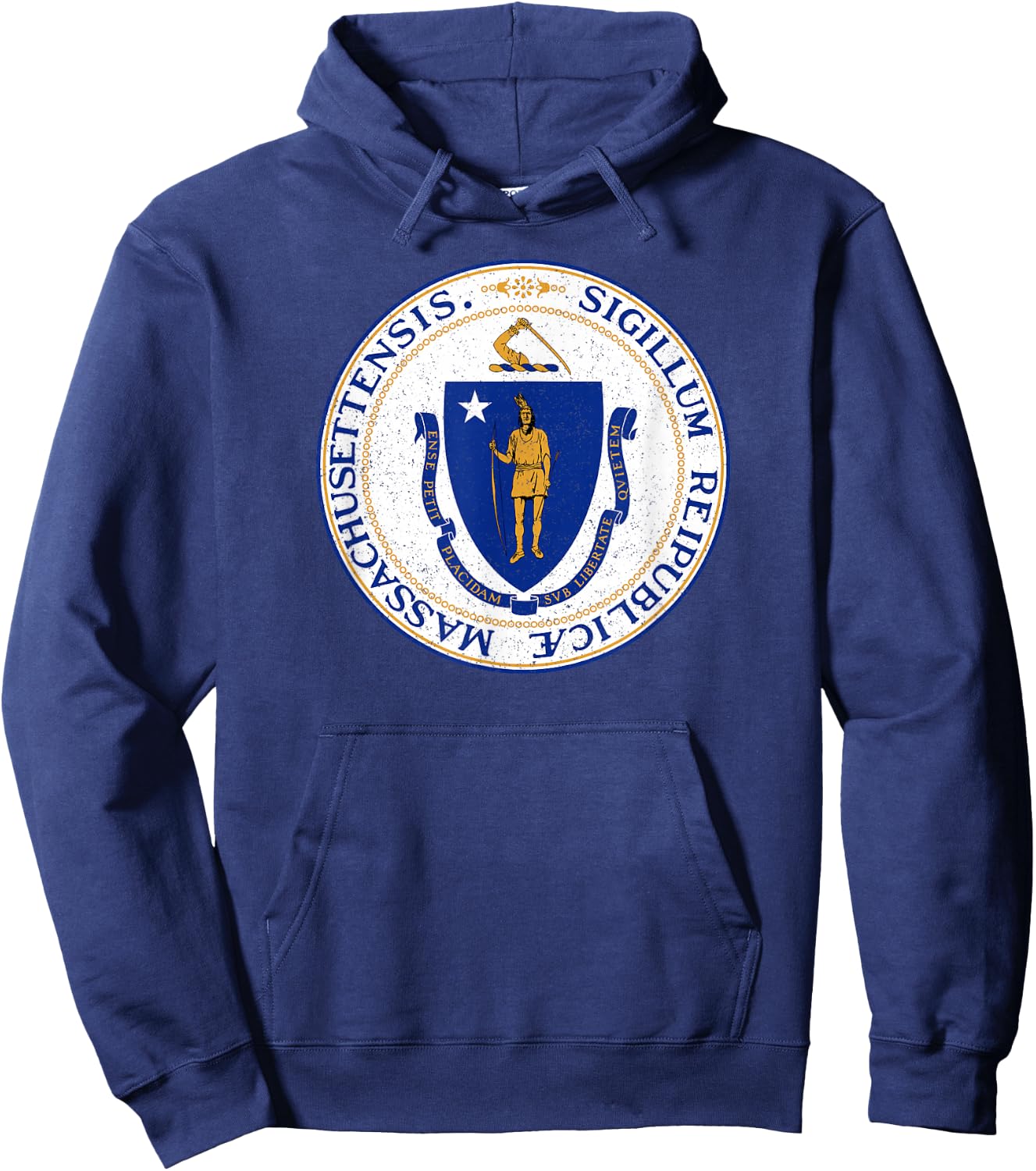 Massachusetts State Seal Flag Hoodie - Hoodie | Navy