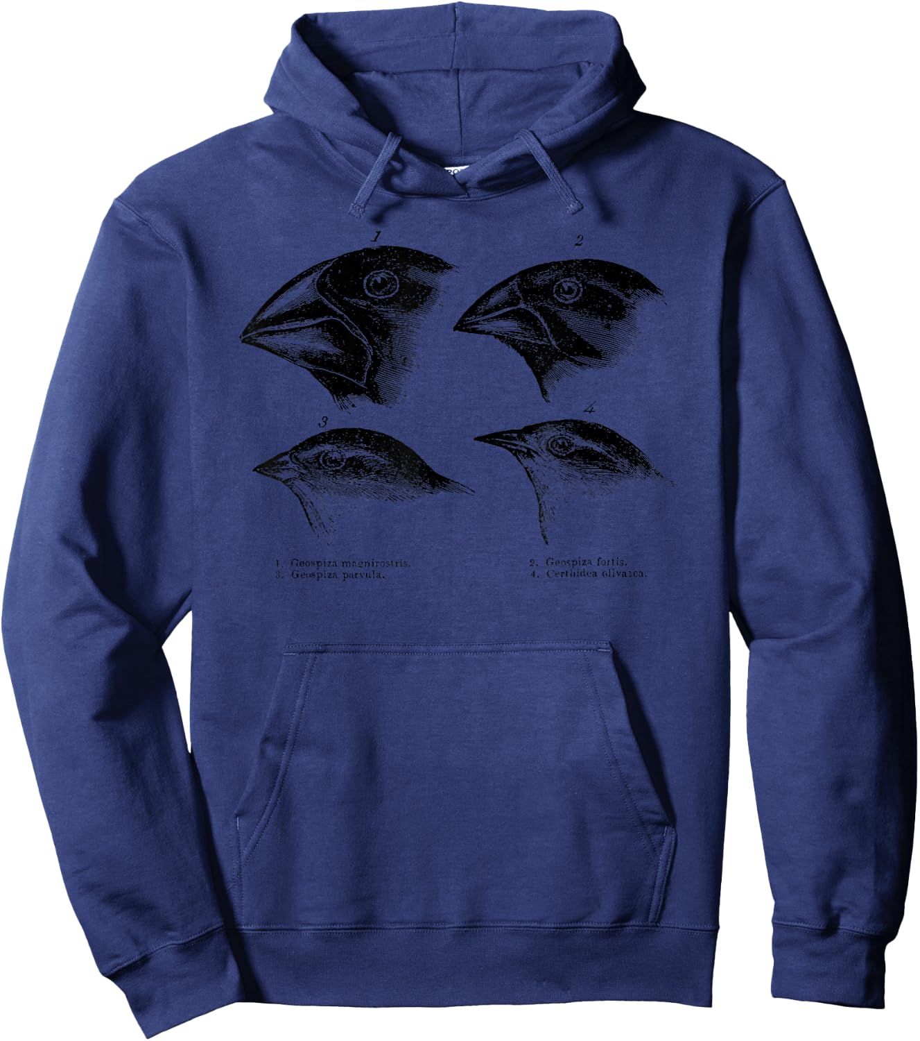 Darwin's Finches Evolution Atheist Illustration Hoodie - Hoodie | Navy