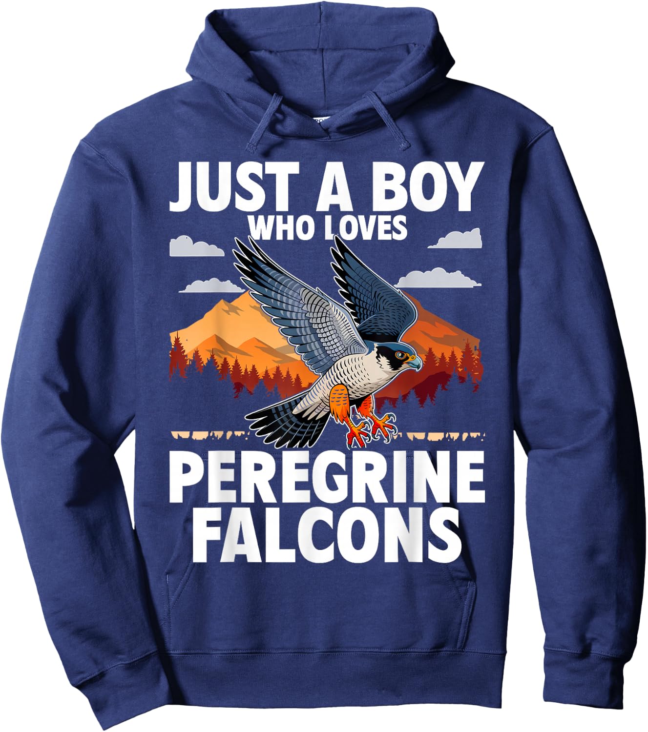 Just A Boy Who Loves Peregrine Falcons Birds Hoodie - Hoodie | Navy