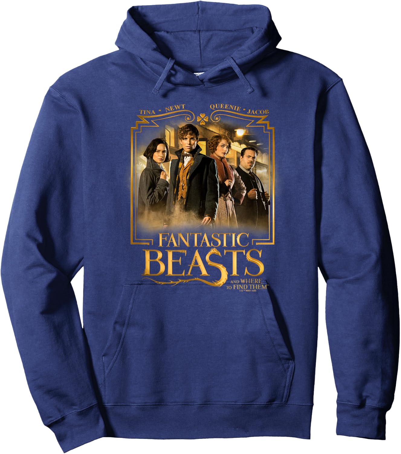Fantastic Beasts And Where To Find Them Hero Group Poster Hoodie - Hoodie | Navy
