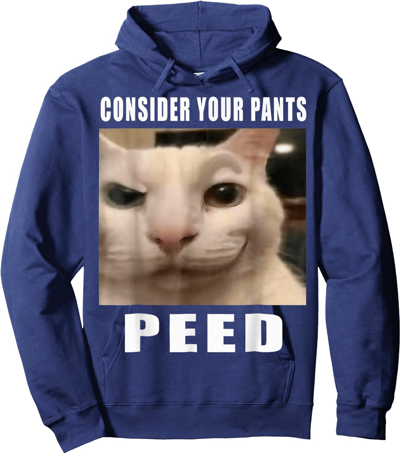 Consider Your Pants Peed Cat Funny Hoodie - Hoodie | Navy