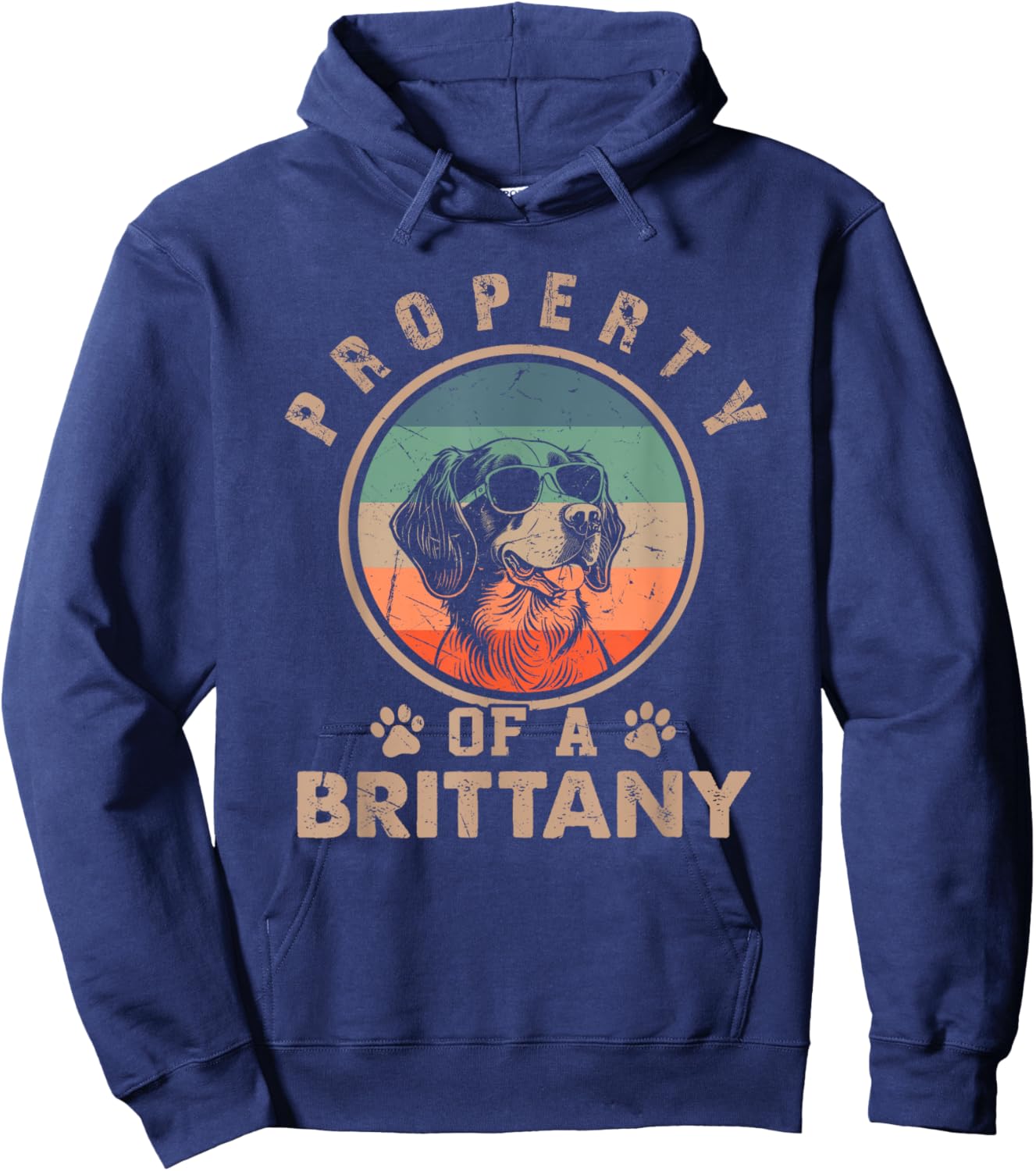 Property Of A Brittany Gifts Funny Brittany Dog Lover Owner Hoodie - Hoodie | Navy