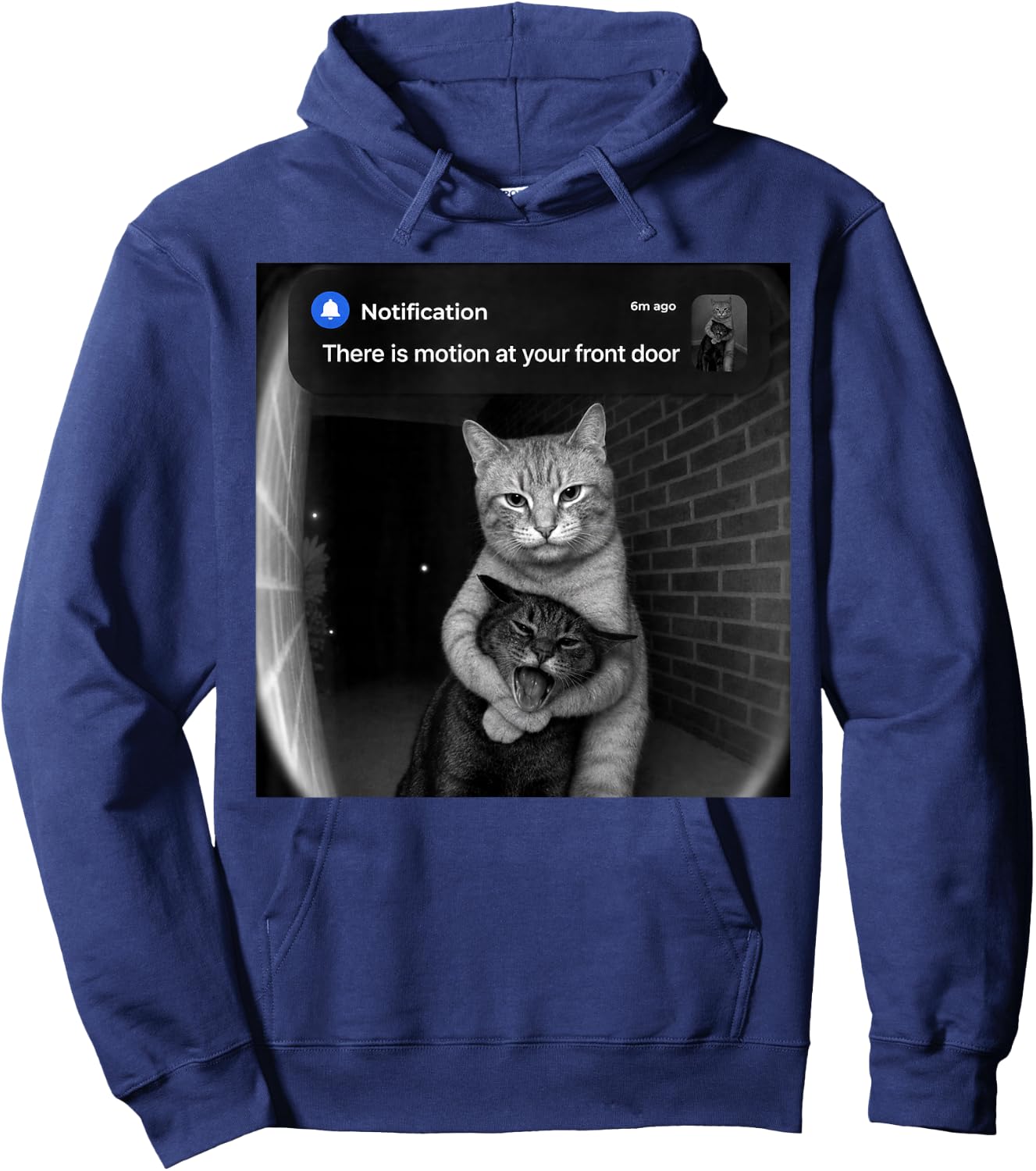 There is Motion at Your Front Door Funny Sibling Cats Meme Hoodie - Hoodie | Navy