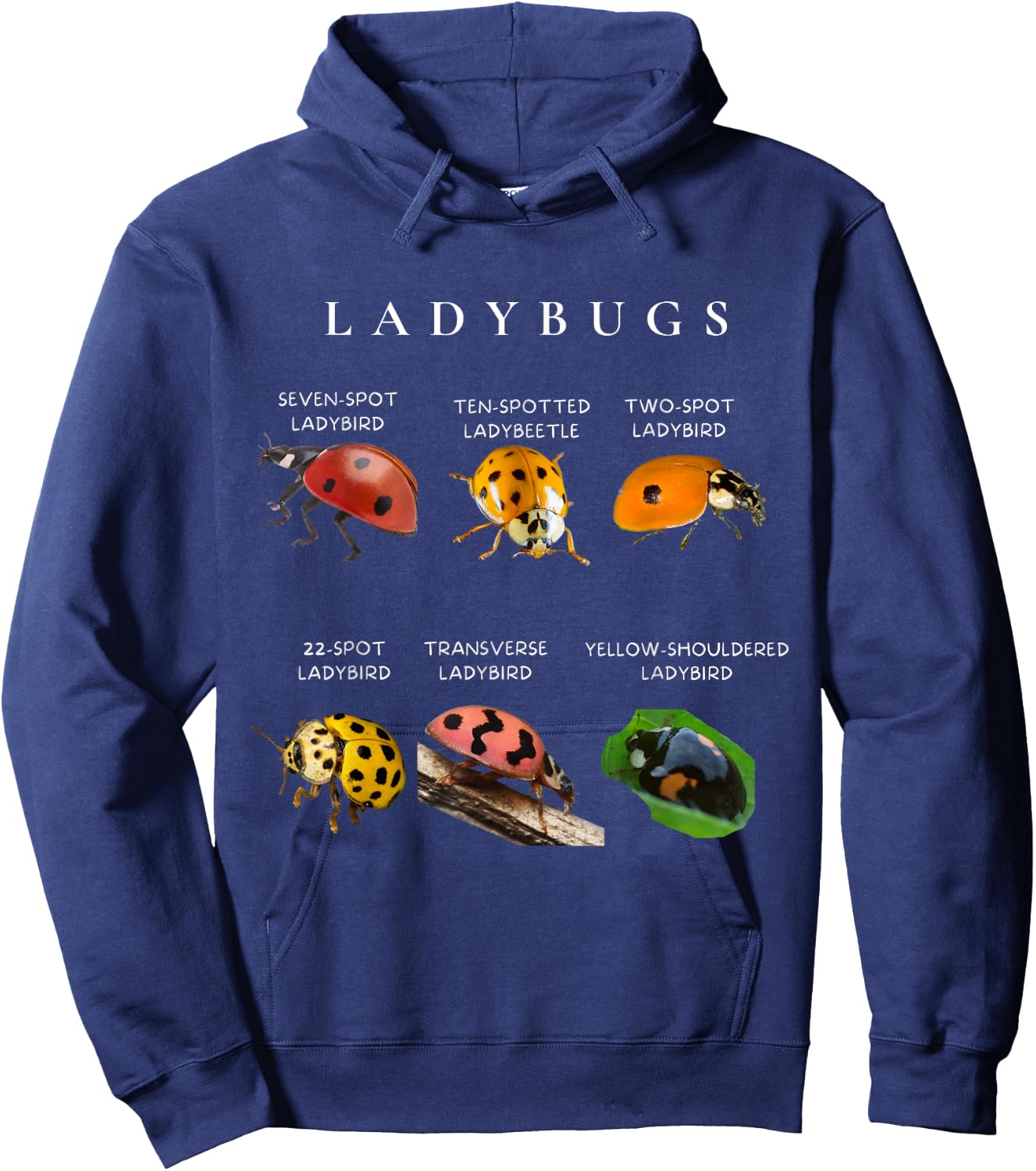 Types of ladybugs insects bug identification science Hoodie - Hoodie | Navy
