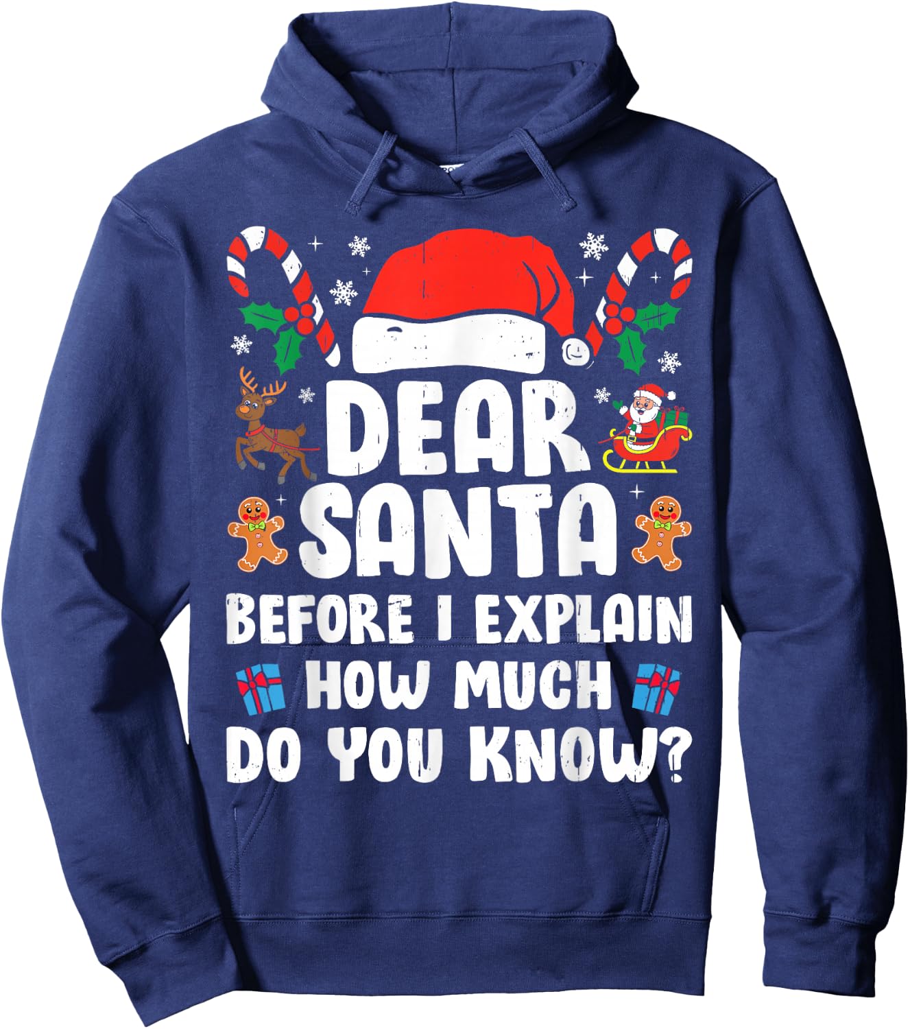 Dear Santa I Can Explain Funny Christmas Xmas Men Women Kids Hoodie - Hoodie | Navy