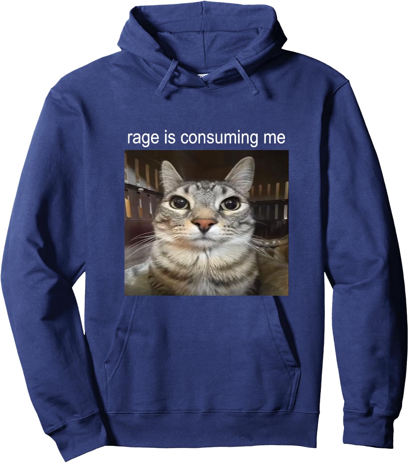 Wut verzehrt mich Dummes Starrendes Katzen-Meme , black Hoodie - Hoodie | Navy