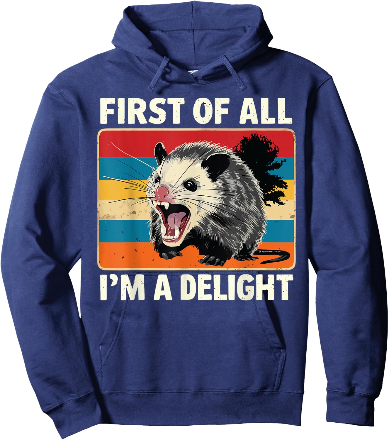 FIRST OF ALL I’M A DELIGHT Sarcastic Angry Opossum Possum Hoodie - Hoodie | Navy