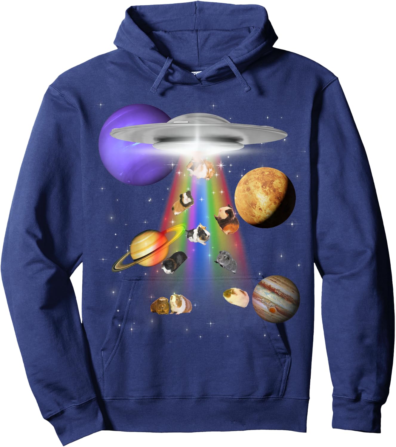 Guinea Pig Lover Alien Abduction UFO LGBTQ Subtle Pride Hoodie - Hoodie | Navy