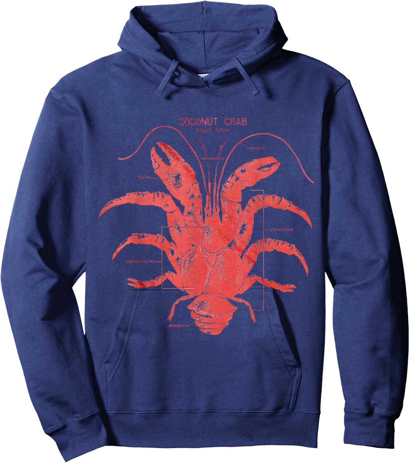 Coconut Crab Anatomy Hoodie - Hoodie | Navy
