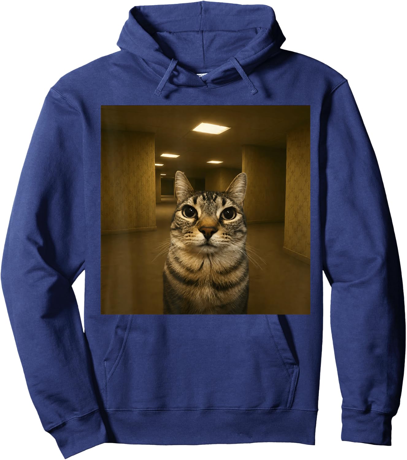 Cat in The Backrooms Liminal Space Funny Meme Hoodie - Hoodie | Navy