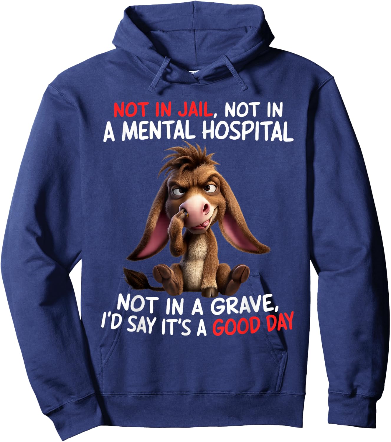Not in Jail Not in A Mental Hospital Not in A Grave I'd Say Hoodie - Hoodie | Navy