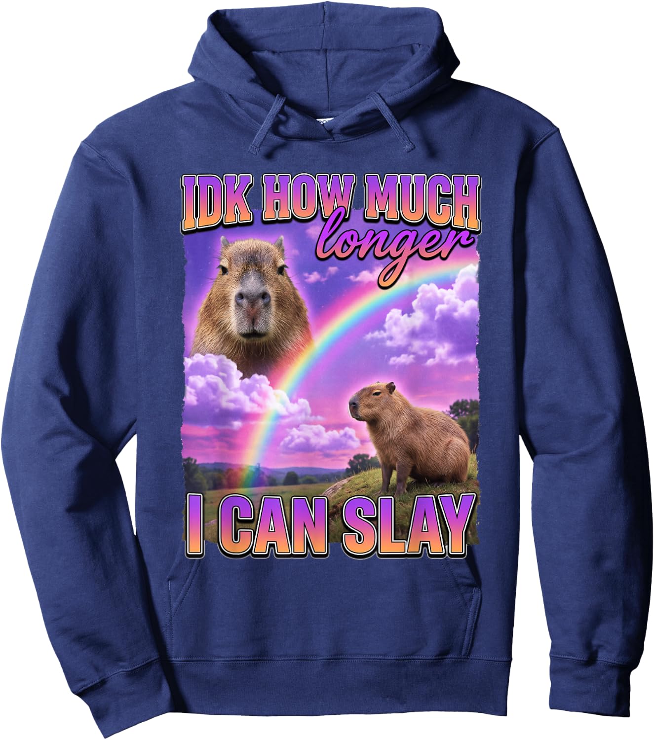 Funny Capybara Meme IDK How Much Longer I Can Slay Hoodie - Hoodie | Navy