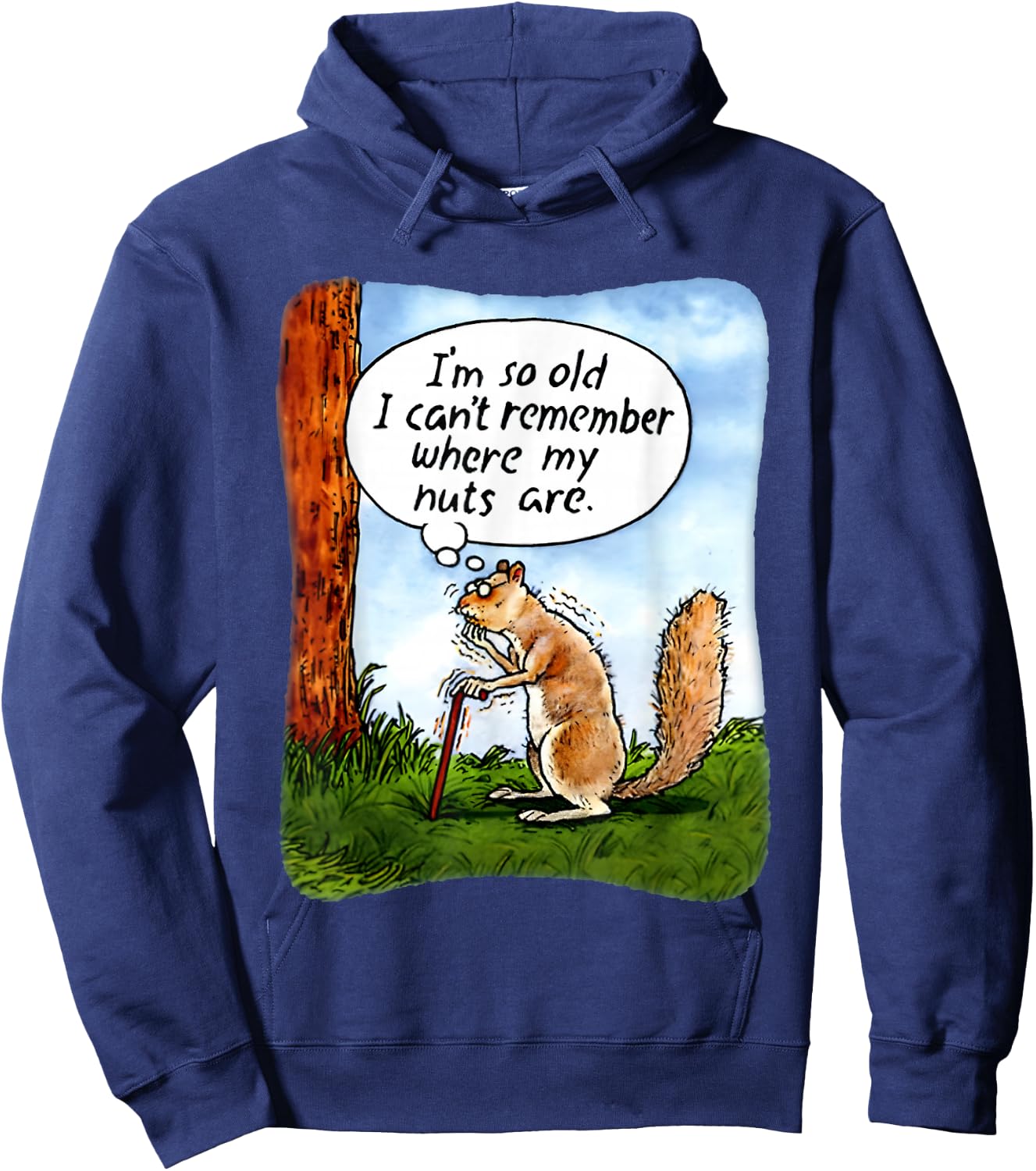 Squirrel I’m So Old I Can’t Remember Where My Nuts Are Hoodie - Hoodie | Navy