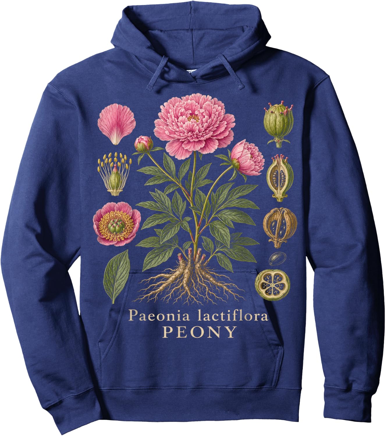 Peony Botanical Anatomy Flower Diagram Vintage Style Hoodie - Hoodie | Navy