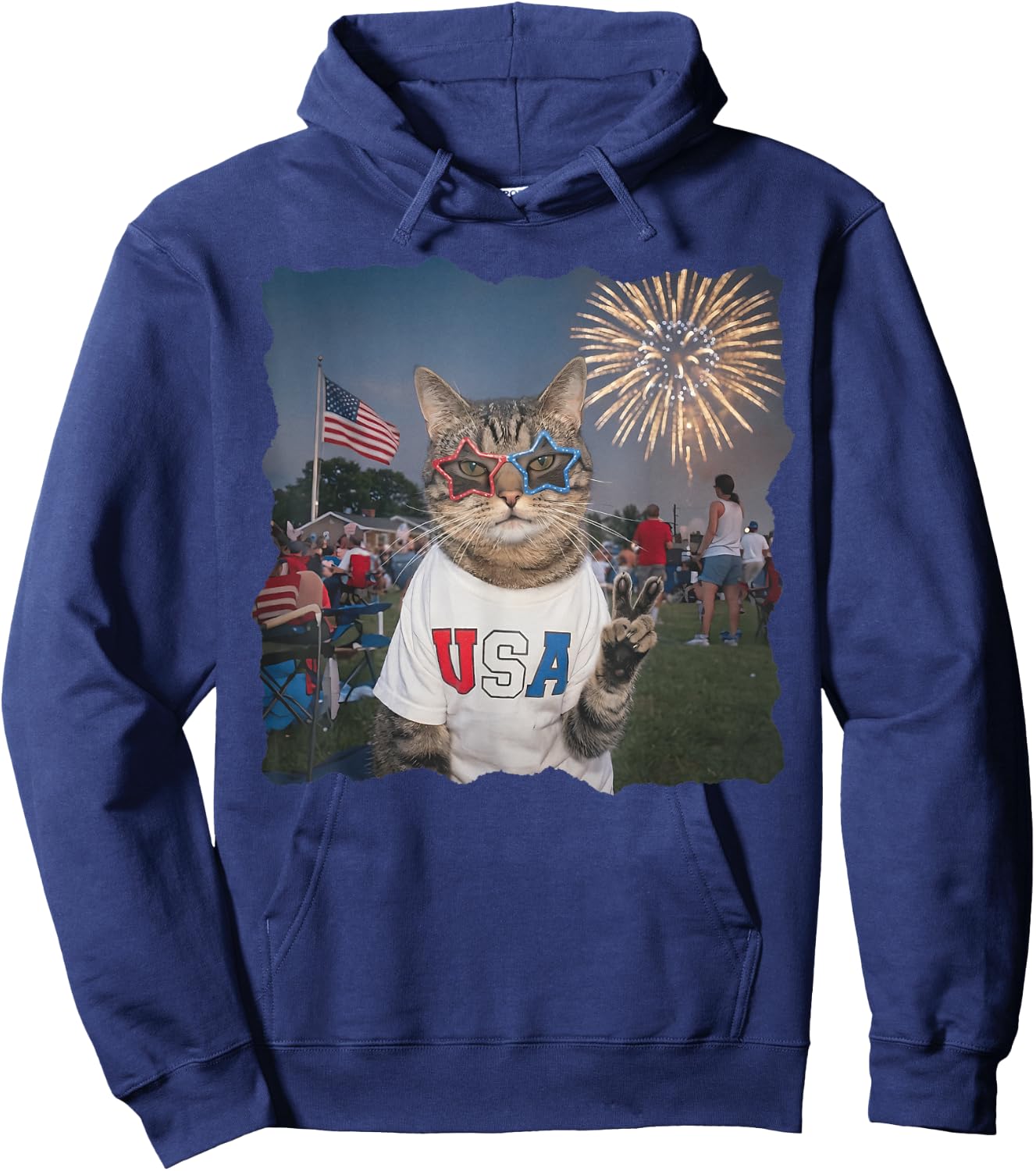 4th of July USA 250 Years Fireworks Funny Patriotic Cat Meme Hoodie - Hoodie | Navy
