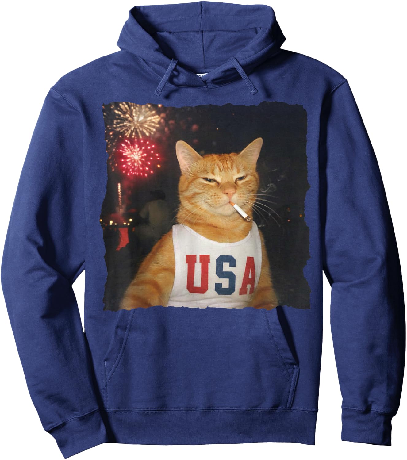 July 4th Patriotic Cat Smoking Cigarette 250 Years Cat Lover Hoodie - Hoodie | Navy