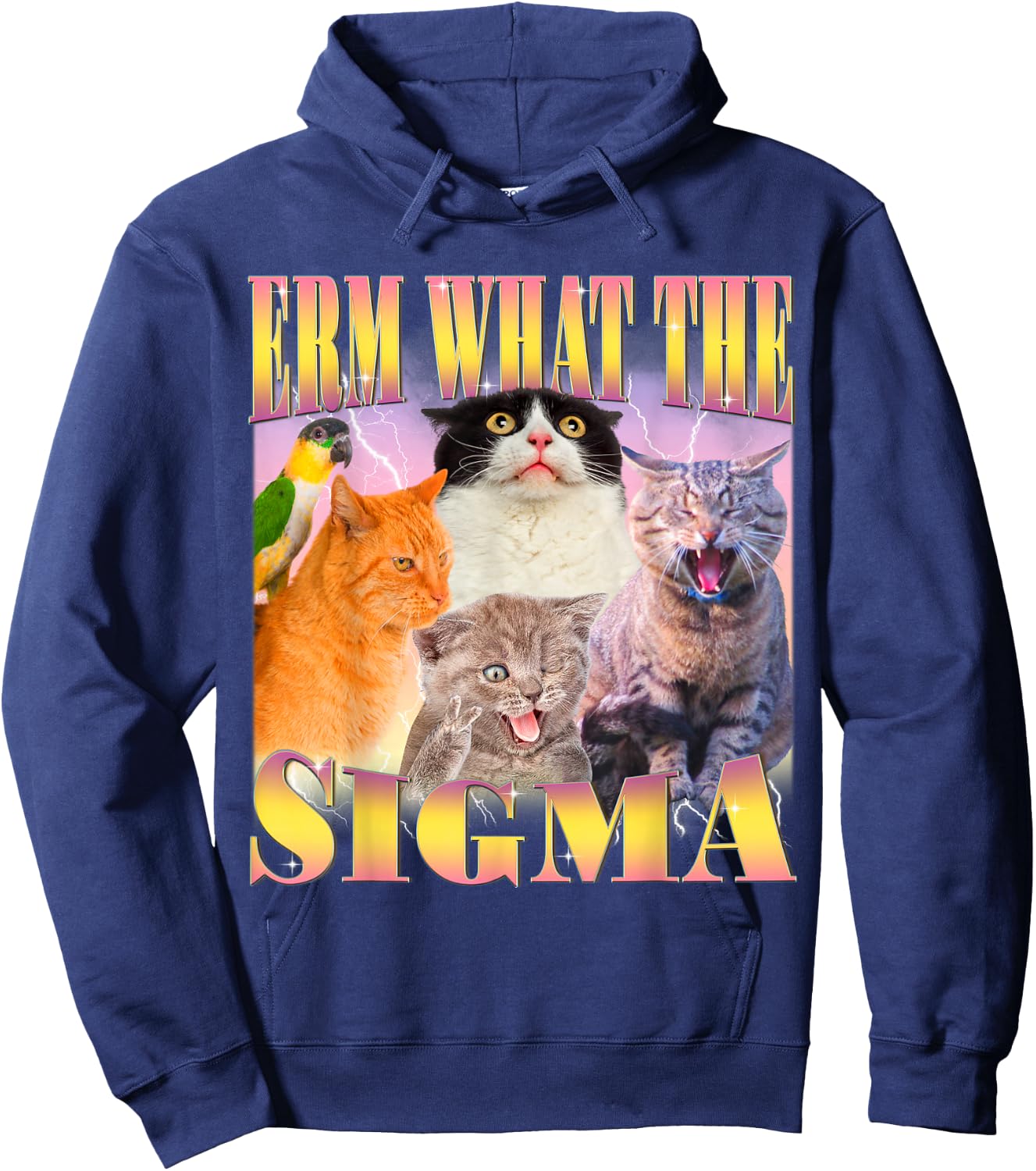 Cat Erm, What The Sigma? Funny Meme Ironic Humour Specific , Black, S Hoodie - Hoodie | Navy