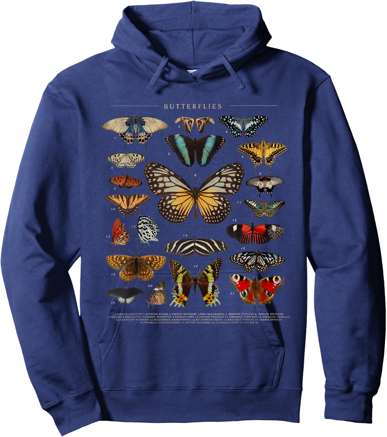 Butterfly Monarch Butterflies Colorful Hoodie - Hoodie | Navy