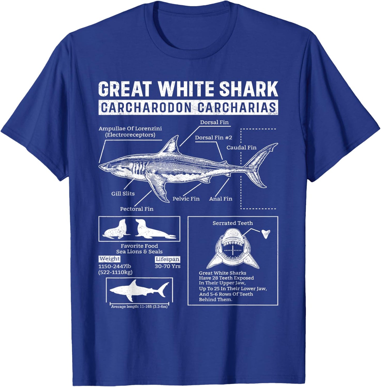 Vintage Great White Shark Anatomy Lover Marine Biologist T-Shirt - T-Shirt | Royal