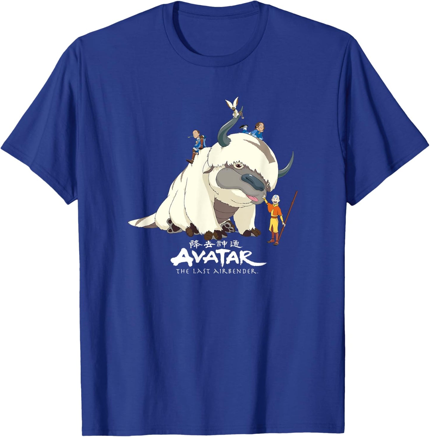 Avatar: The Last Airbender Team Avatar Group Shot Distressed T-Shirt - T-Shirt | Royal