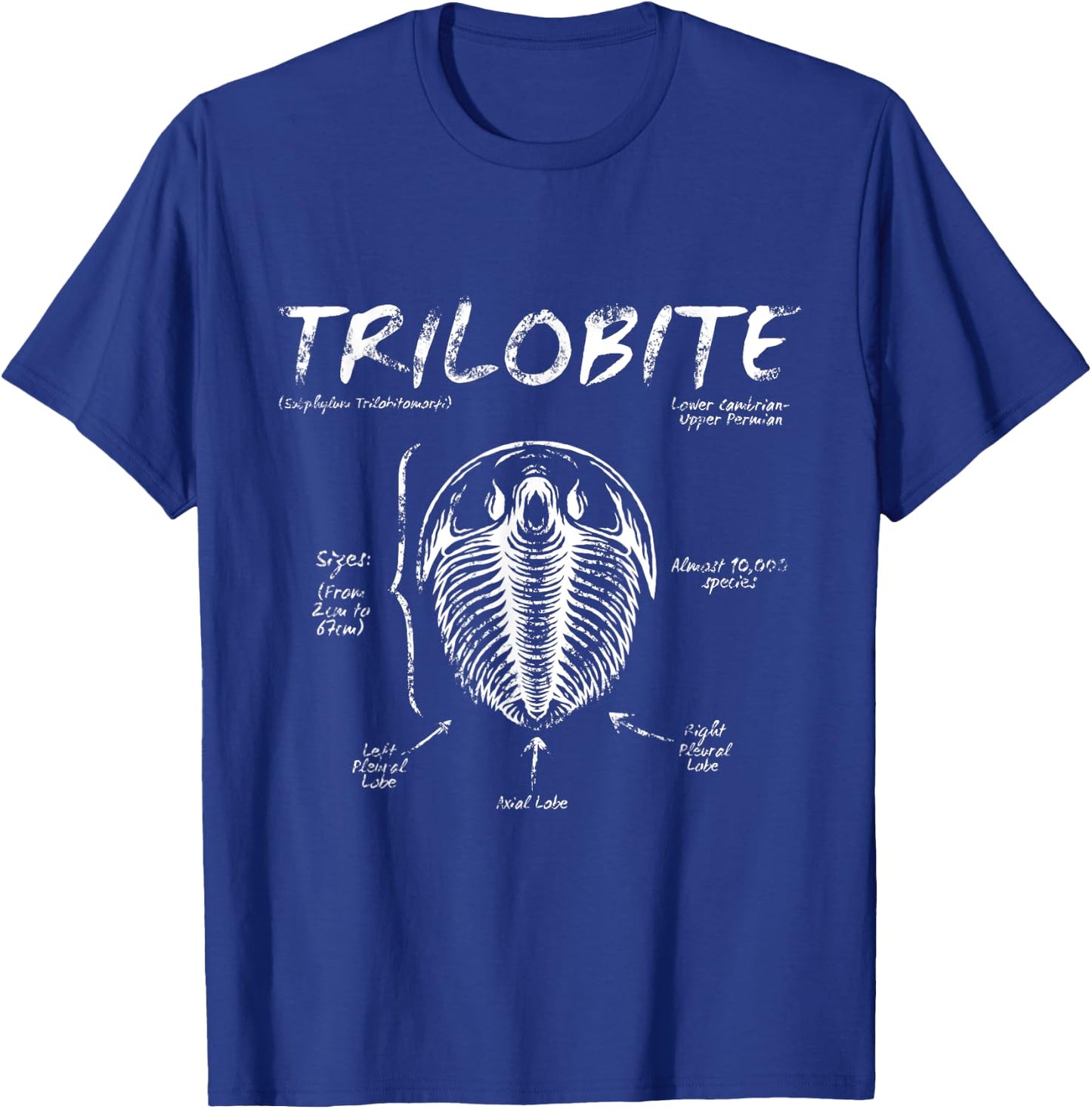 Trilobite Geology Teacher Fossil Men Women Kids T-Shirt - T-Shirt | Royal