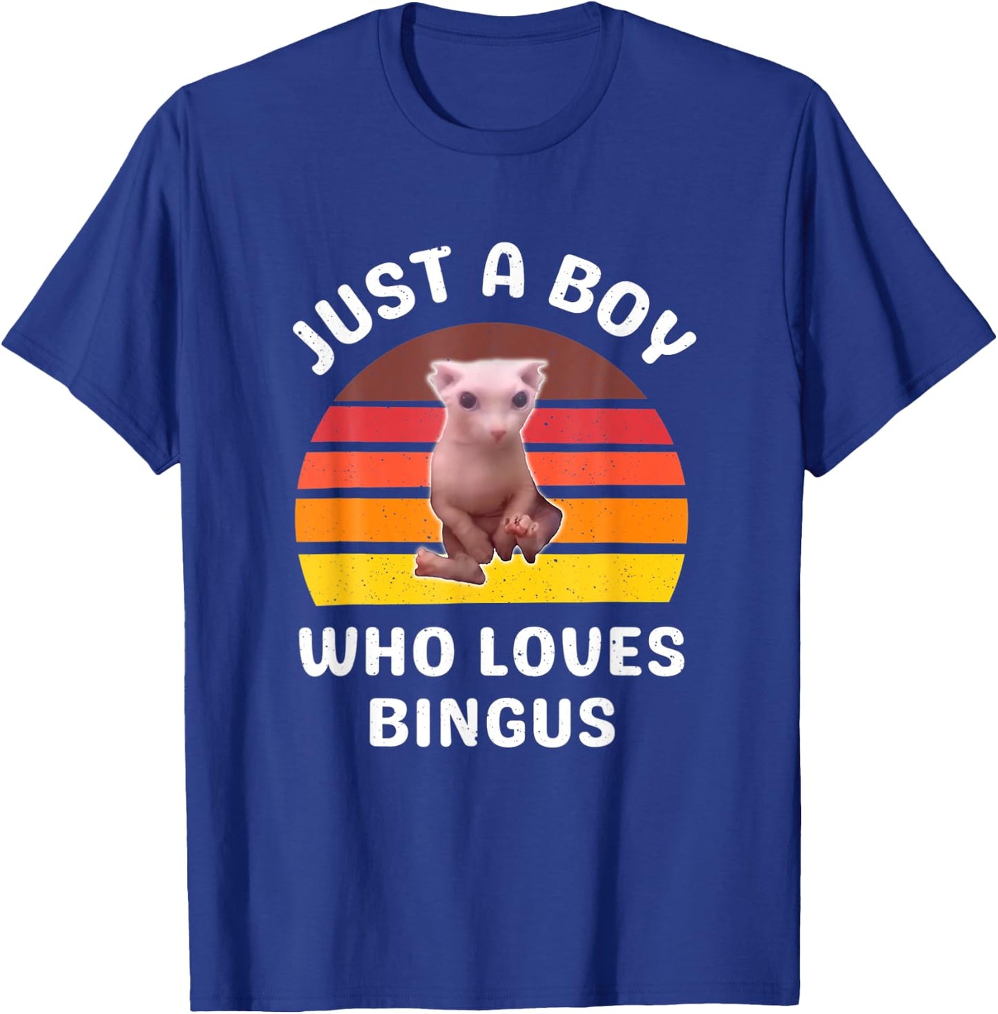 Just A Boy Who Loves Bingus Funny Hairless Sphynx Cat T-Shirt - T-Shirt | Royal