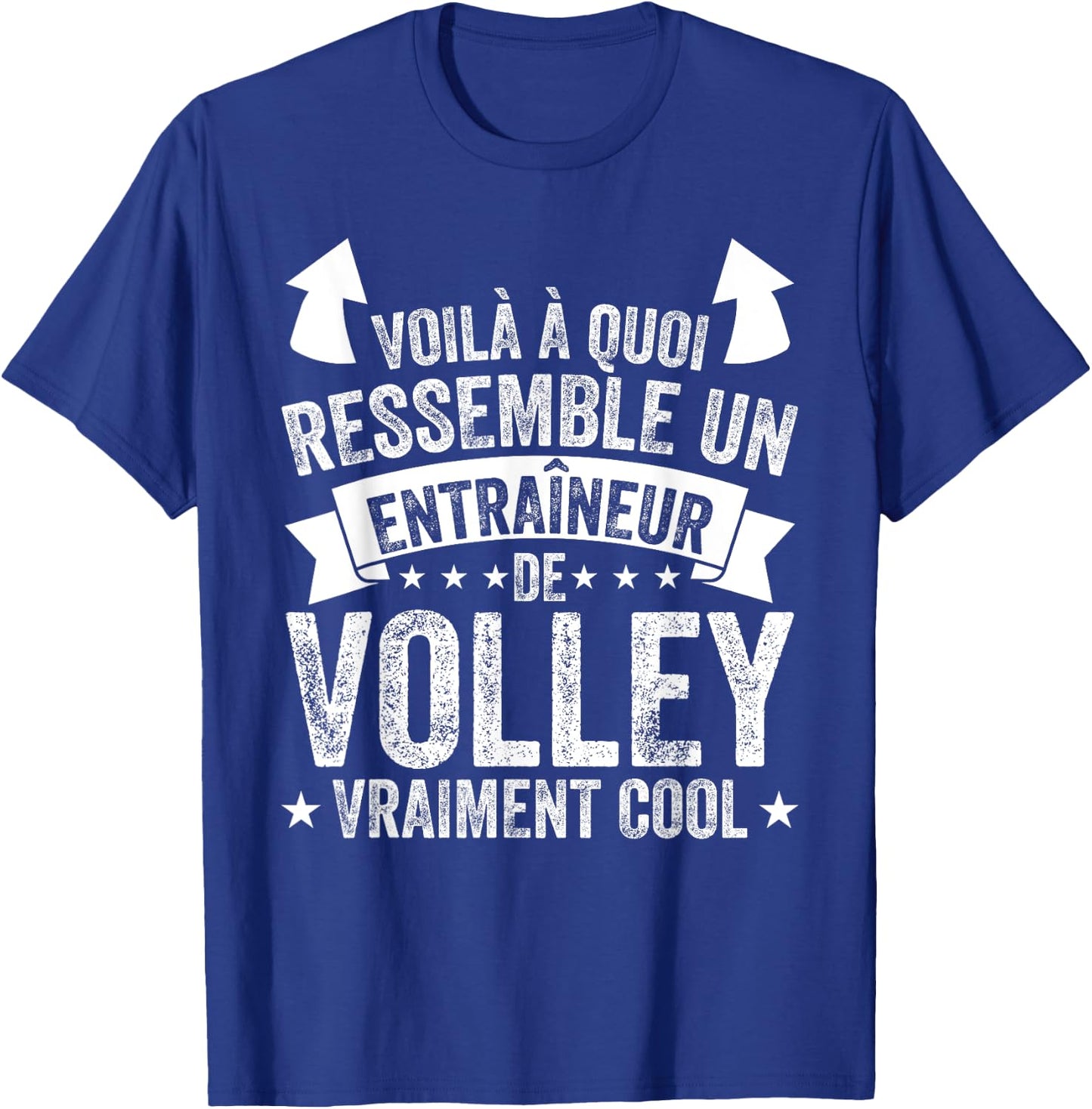 Coach Volleyball Un Entraîneur De Volley Vraiment Cool T-Shirt - T-Shirt | Royal