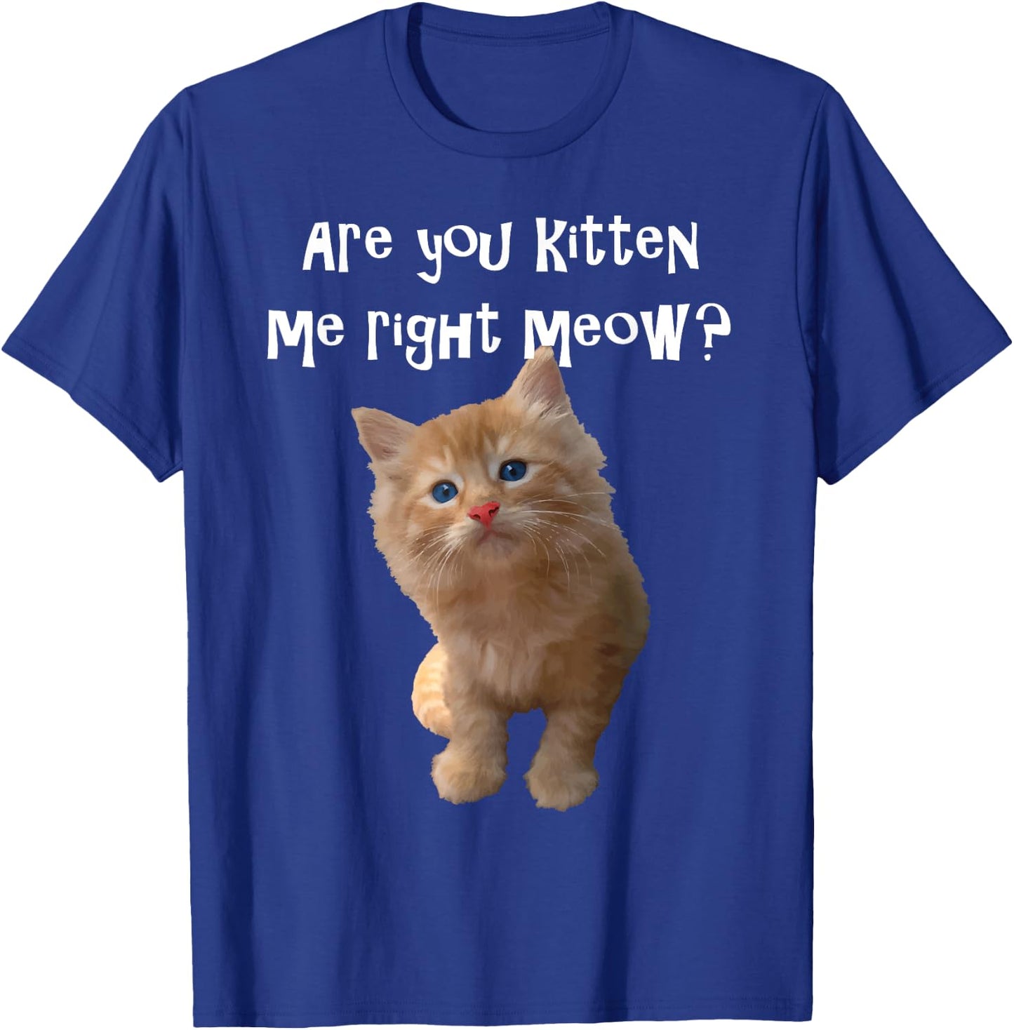 Are You Kitten Me Right Meow? T-Shirt - T-Shirt | Royal