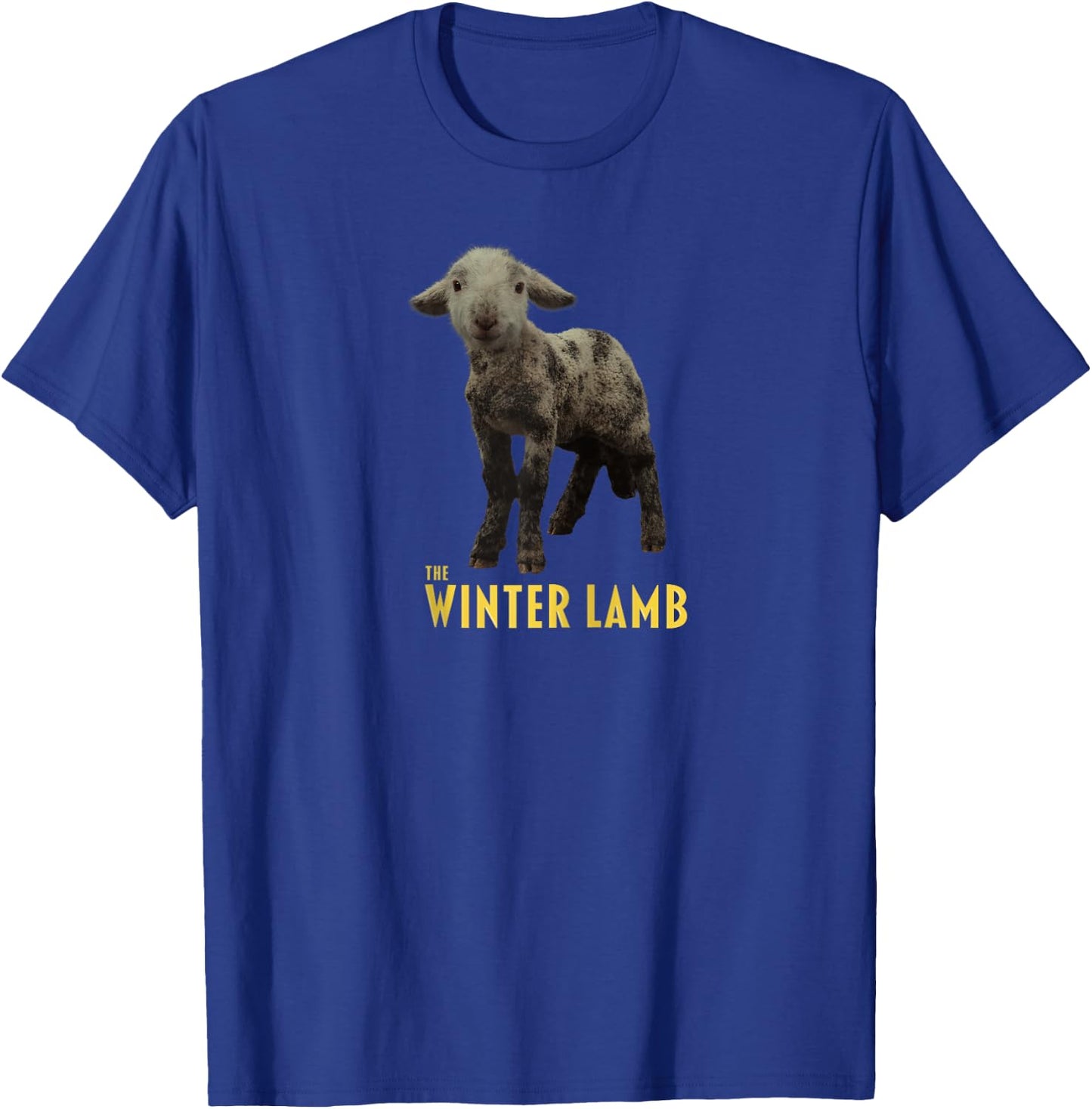 The Winter Lamb Raglan Baseball T-Shirt - T-Shirt | Royal