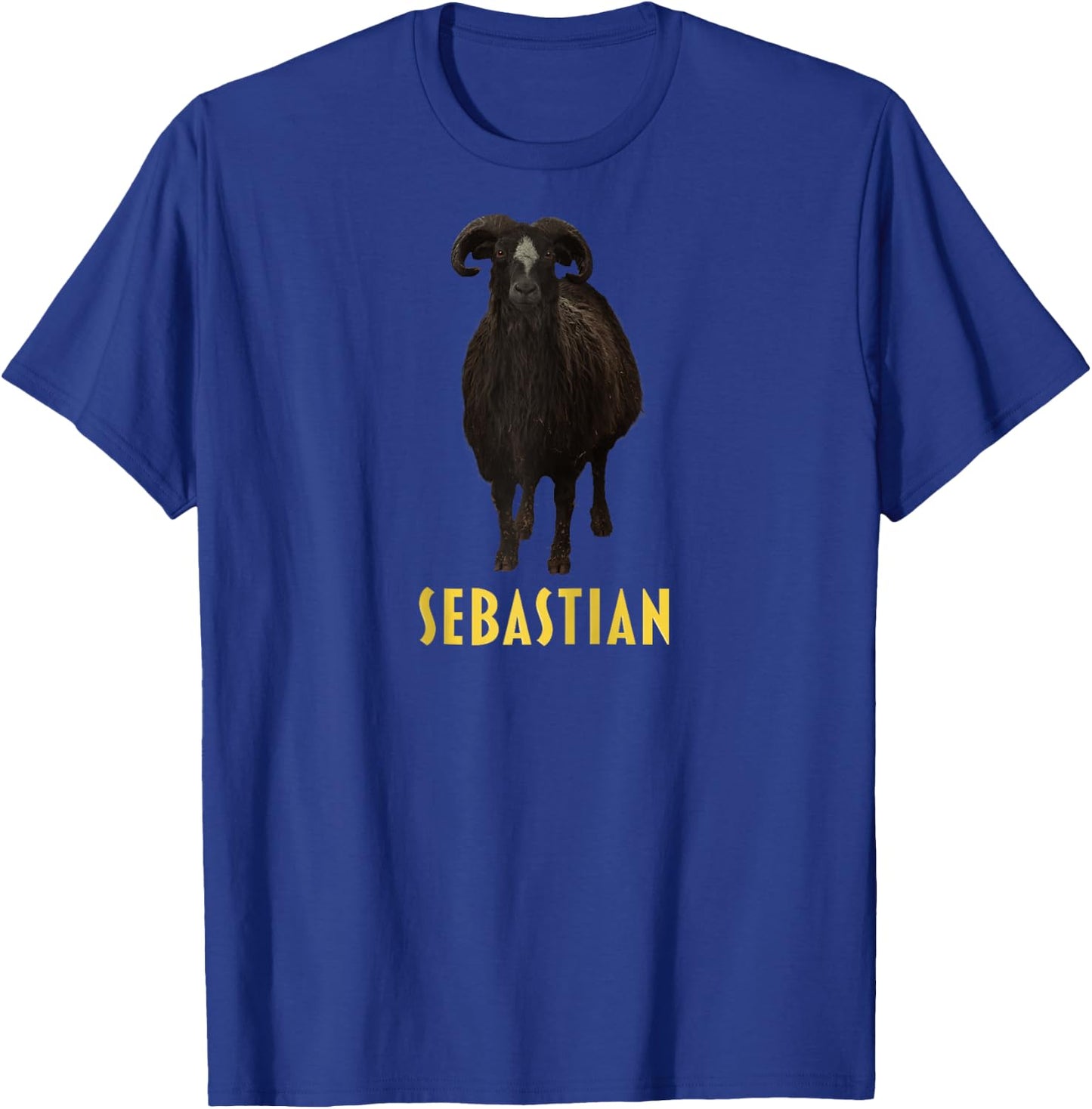 Sebastian Raglan Baseball T-Shirt - T-Shirt | Royal