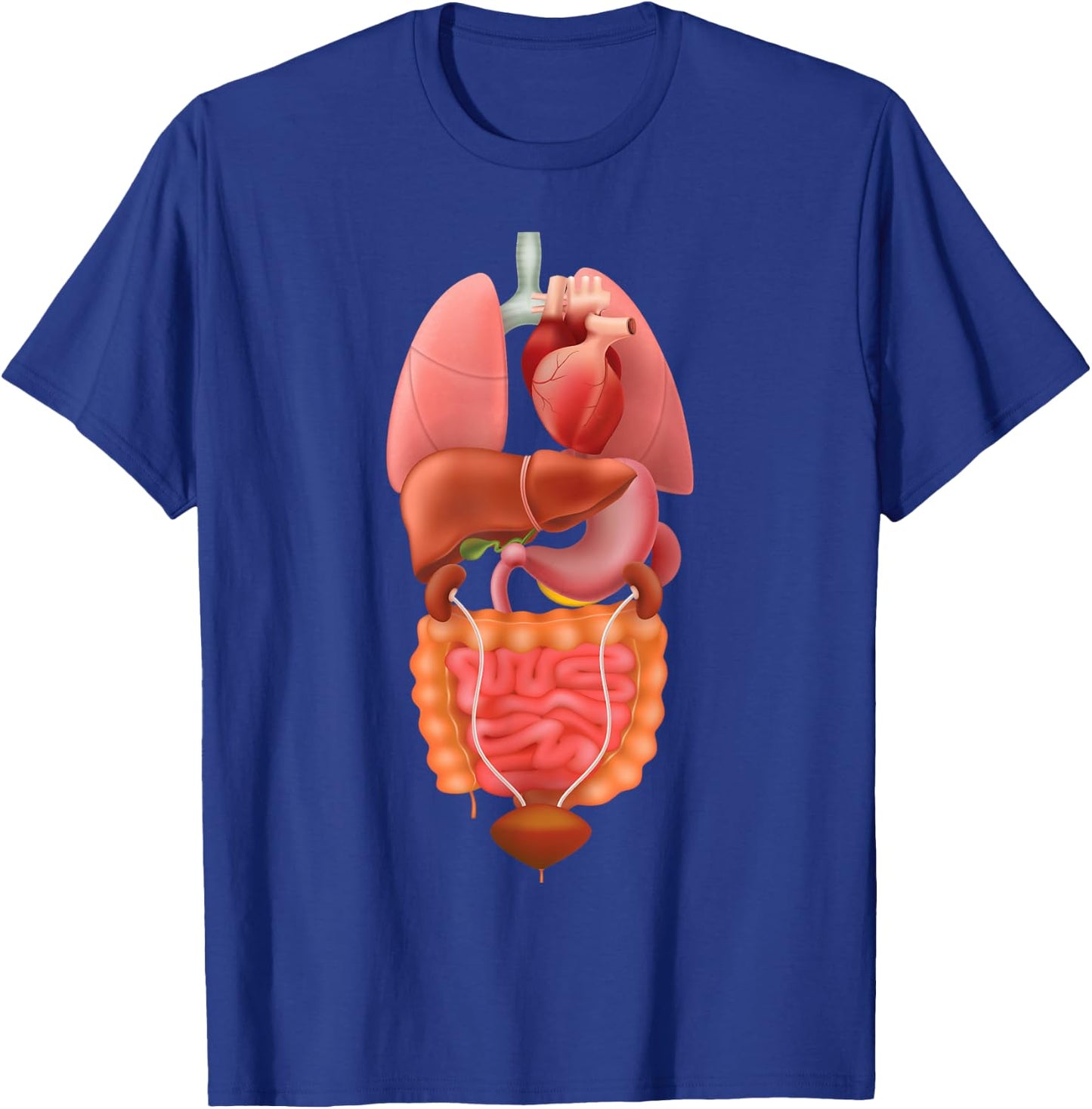 Halloween Human Body Torso Anatomy Internal Organ Fun Print T-Shirt - T-Shirt | Royal