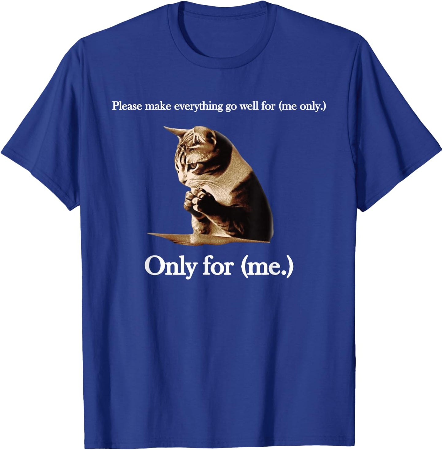 Please Make Everything Go Well For (me only.) Cat Saying T-Shirt - T-Shirt | Royal