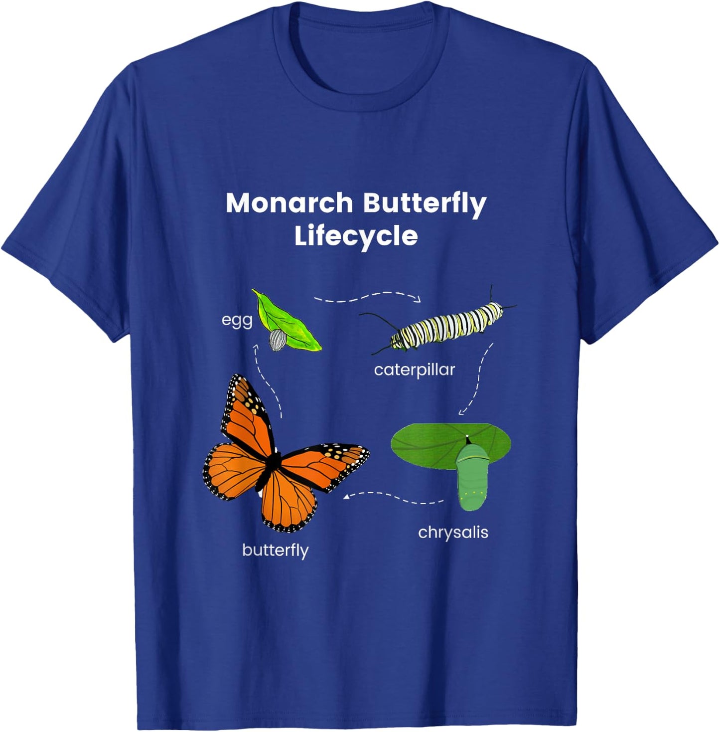 Monarch Butterfly Lifecycle T-Shirt - T-Shirt | Royal
