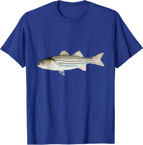 Barfish Striped
