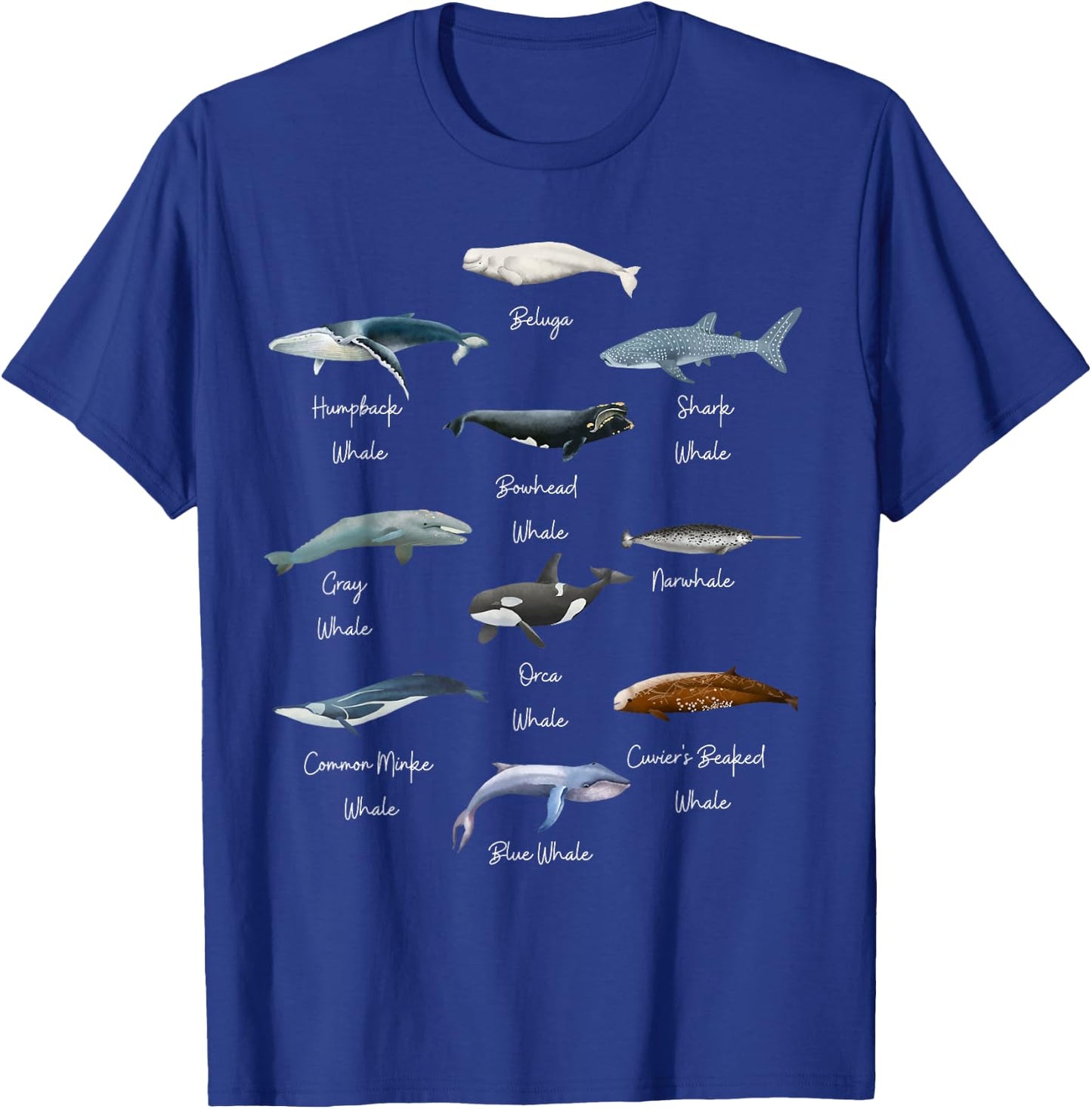Types Of Whales Watercollor Cute Ocean Mammals Guide T-Shirt - T-Shirt | Royal