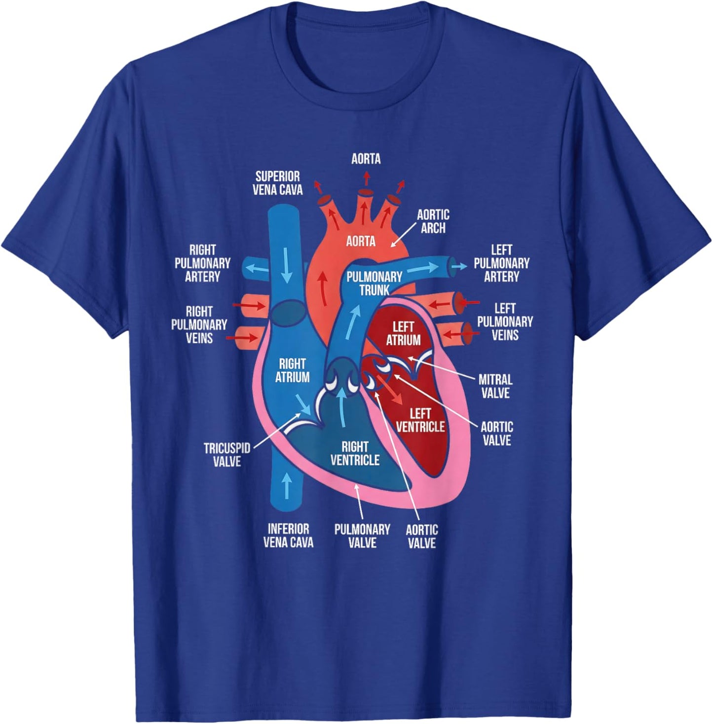 Heart Anatomy Diagram Cardiovascular System Biology Study T-Shirt - T-Shirt | Royal