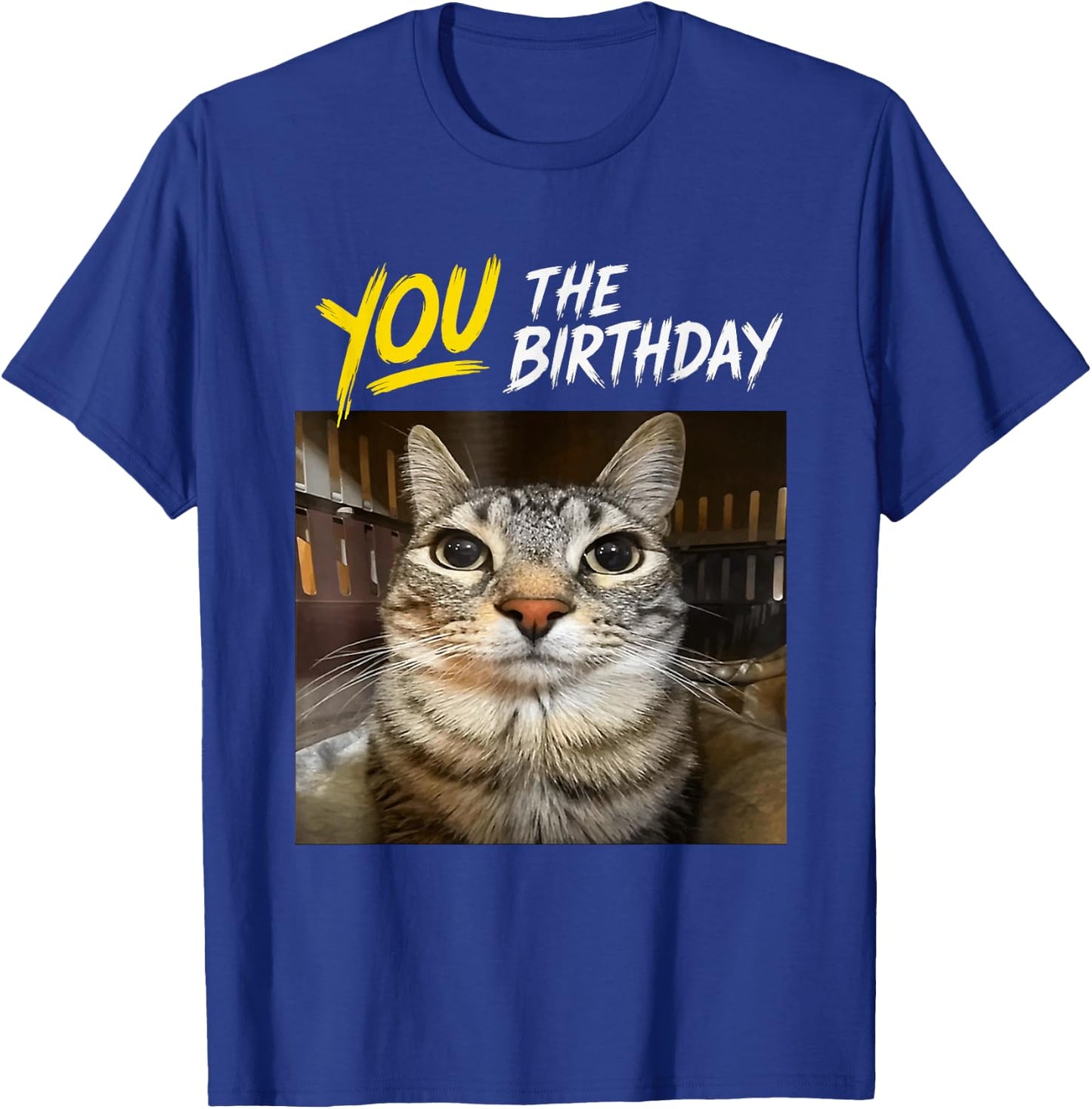 You The Birthday Funny Gen Z Slang Meme Cat T-Shirt - T-Shirt | Royal