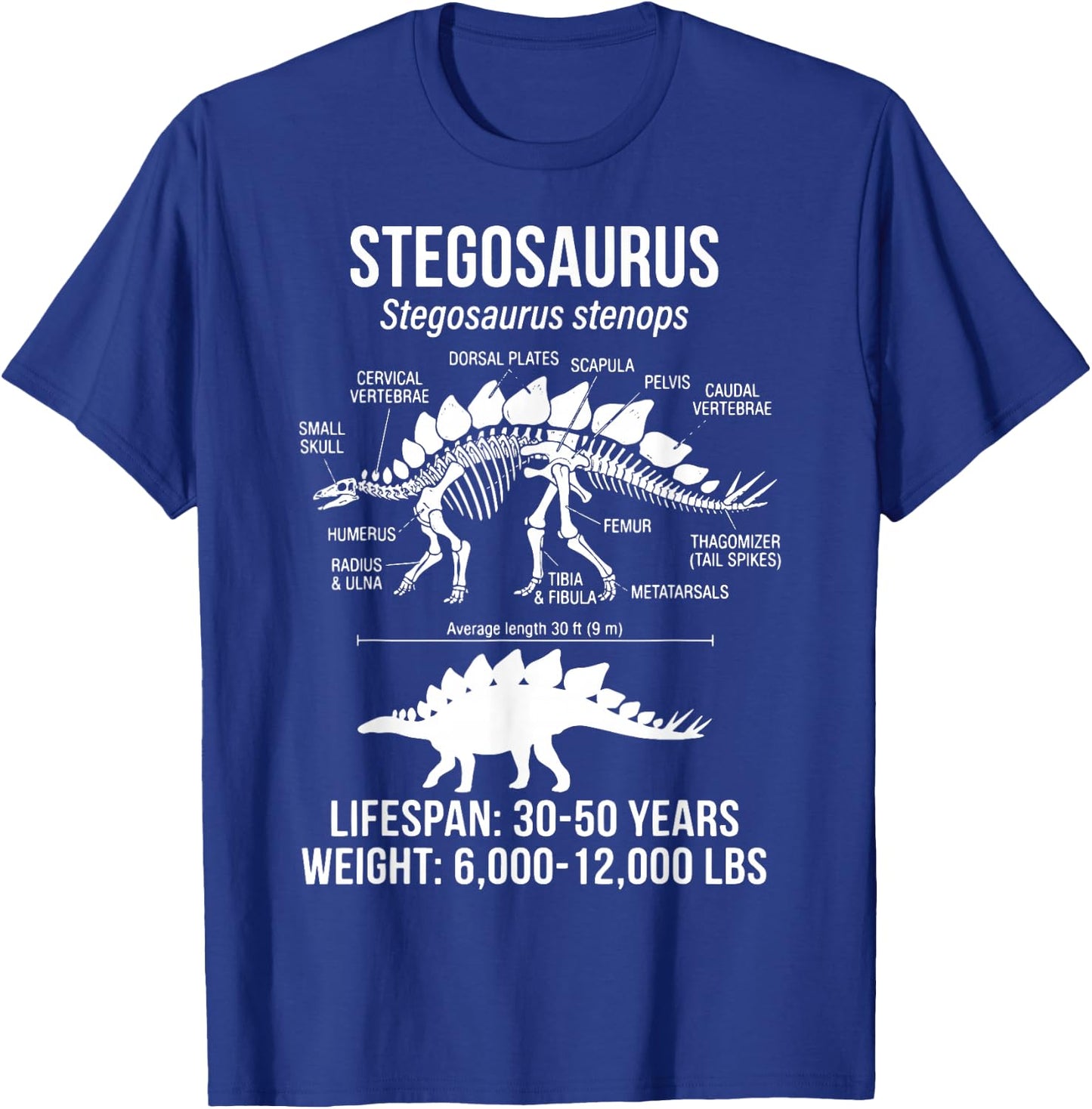 Stegosaurus Diagram T-Shirt - T-Shirt | Royal