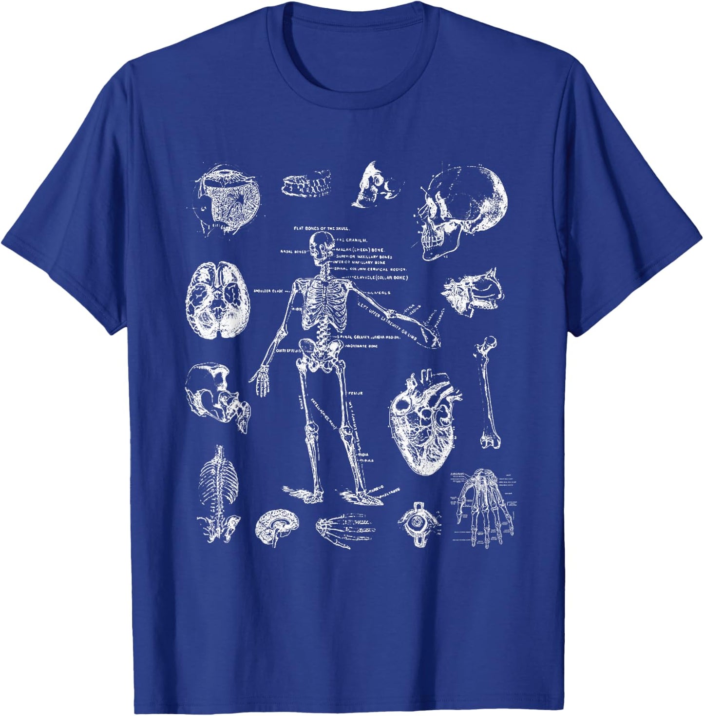 Human Skeleton Anatomy Drawing Diagram Spooky Halloween T-Shirt - T-Shirt | Royal