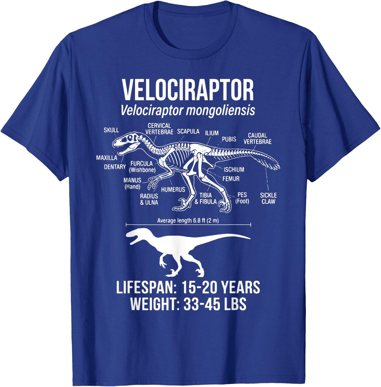 Velociraptor Diagram T-Shirt - T-Shirt | Royal